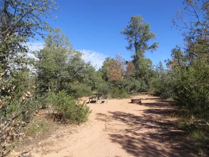 Houston Mesa, Elk Loop site #02 featuring large camping space with picnic table and fire pit.