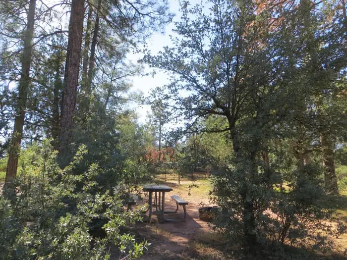 Houston Mesa, Horse Camp site #03 view of picnic area among the trees.