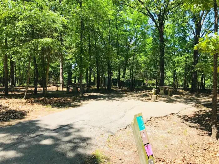 Official photo of site 004