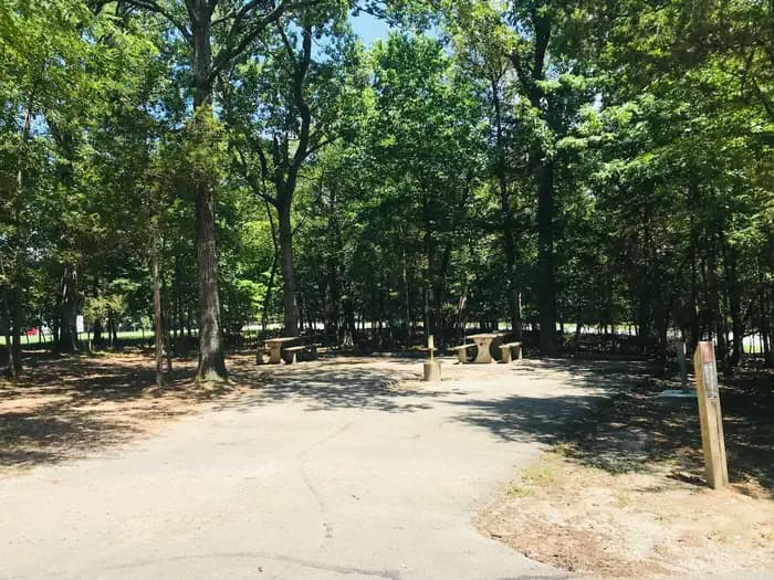 Official photo of site 001