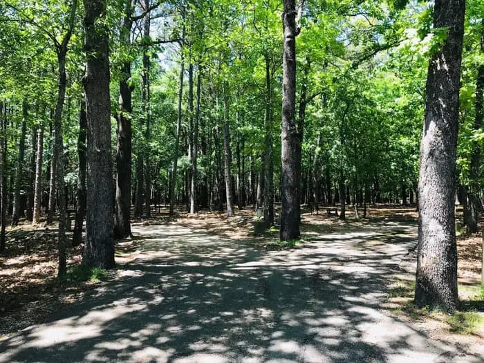 Official photo of site 007