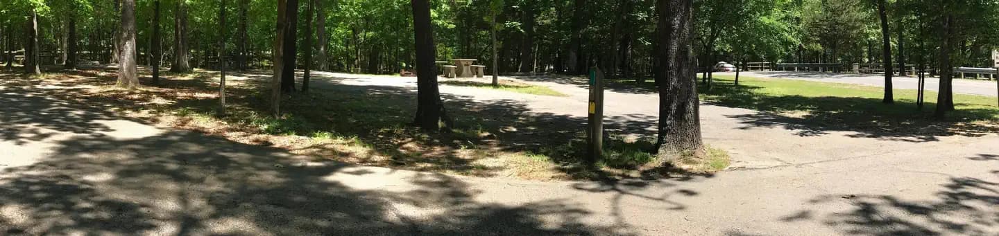 Official photo of site 008