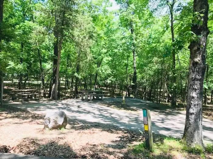 Official photo of site 005