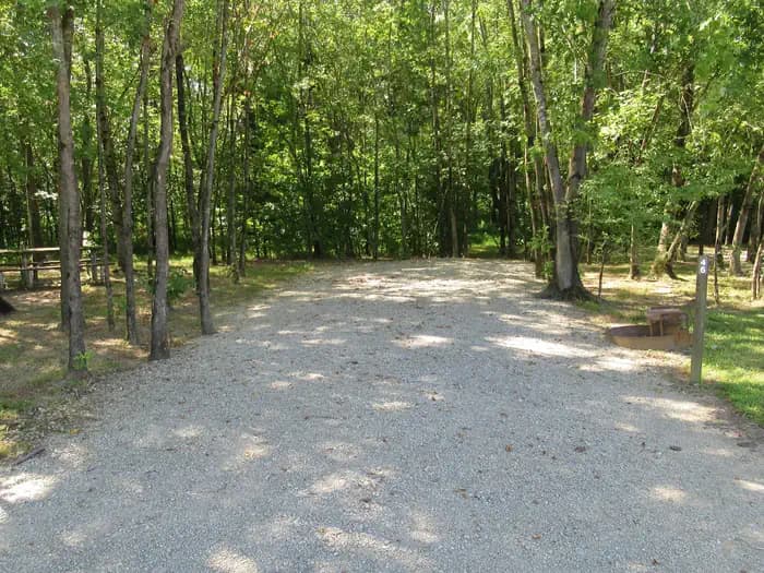 CAMPSITE 46