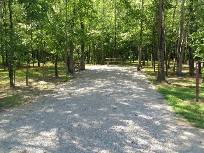 CAMPSITE 48