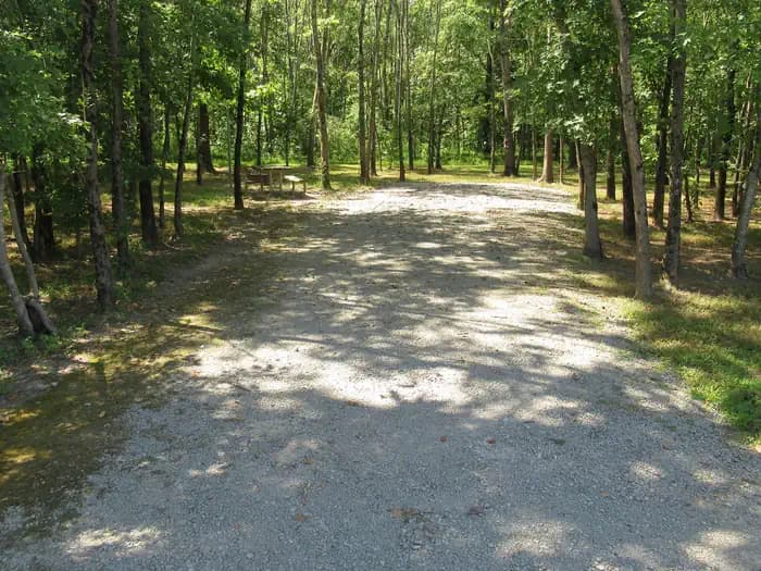 CAMPSITE 50