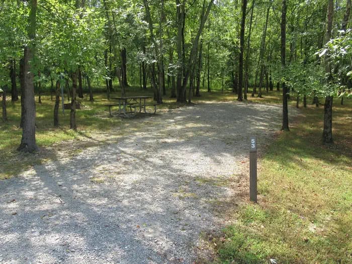 CAMPSITE 53