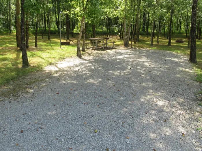CAMPSITE 54