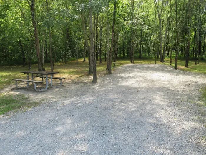 CAMPSITE 55