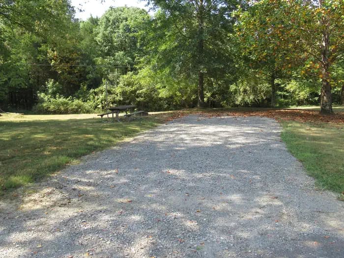 CAMPSITE 59