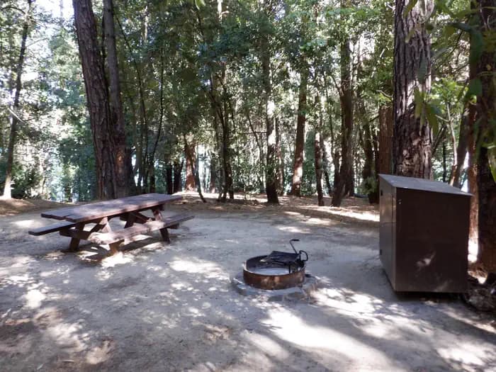 Campsite 6