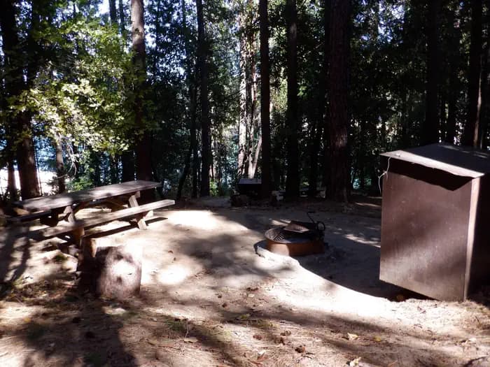 Campsite 7