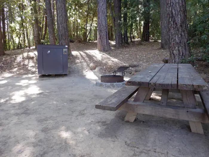 Campsite 8