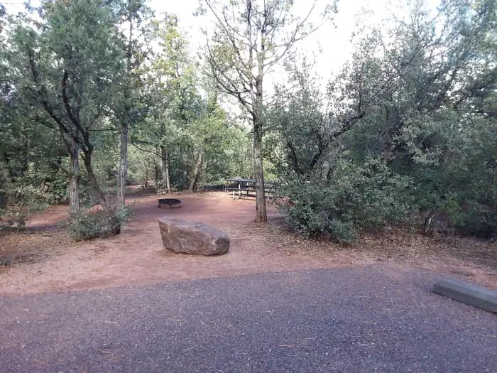 Houston Mesa, Mountain Lion Loop site #20 tucked behind trees, featuring a table and fire pit.