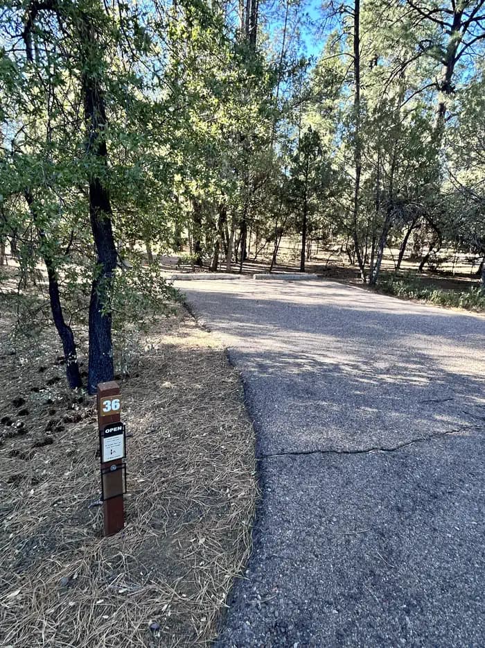 Site 36