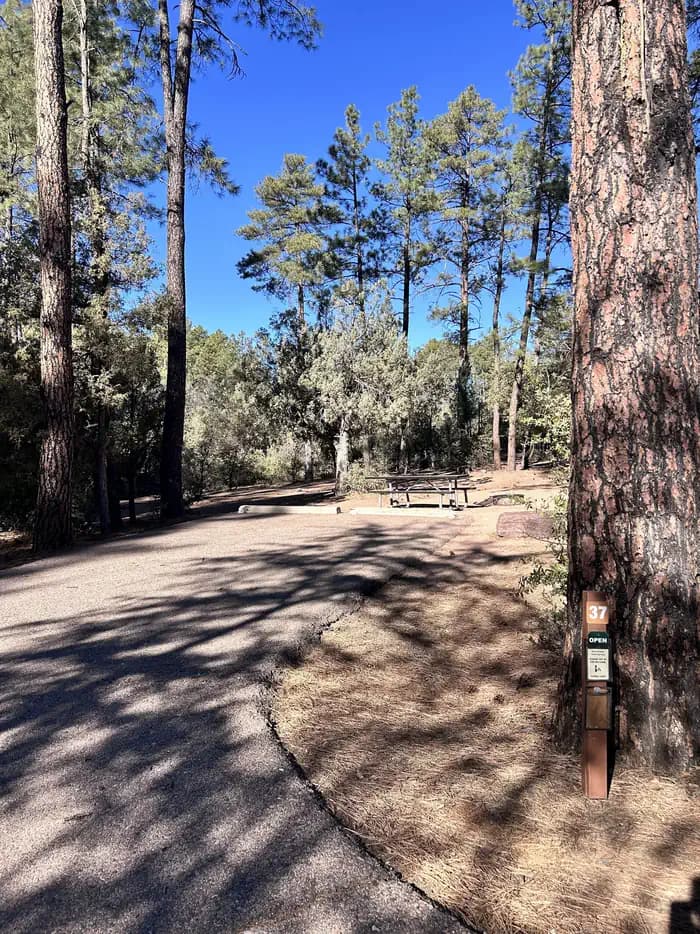 Site 37 driveway