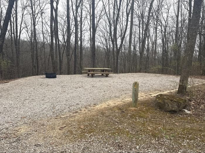 Campsite 4