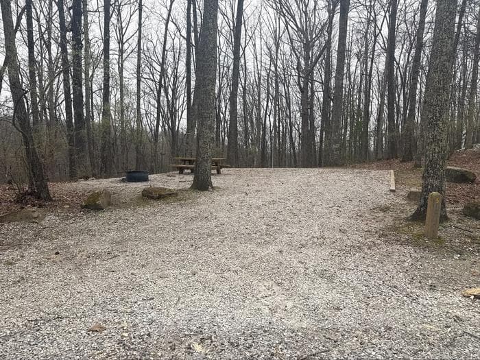 campsite 5