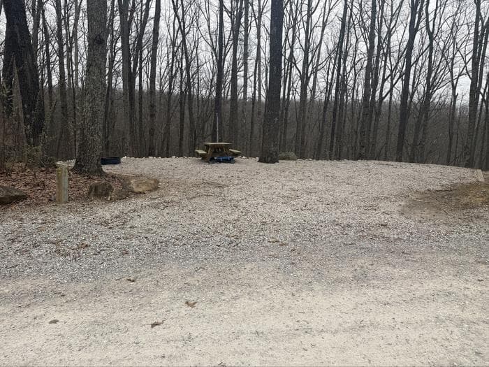 Campsite 7