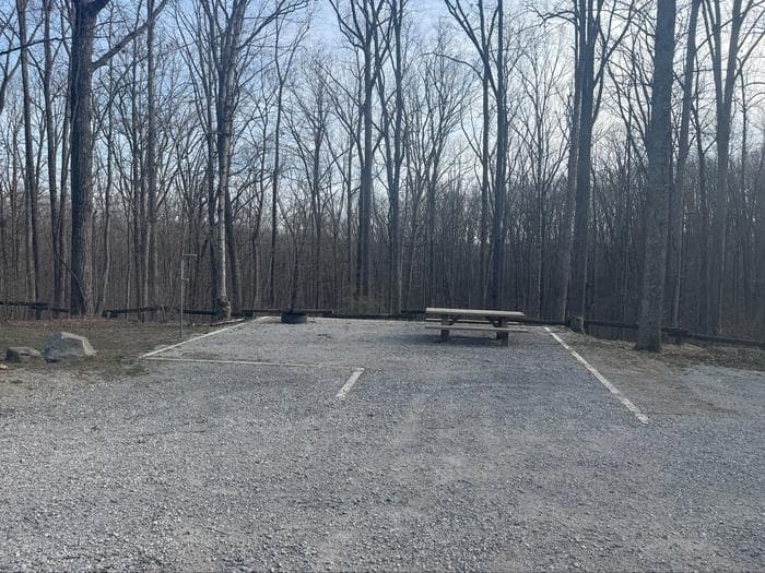 Campsite 20
