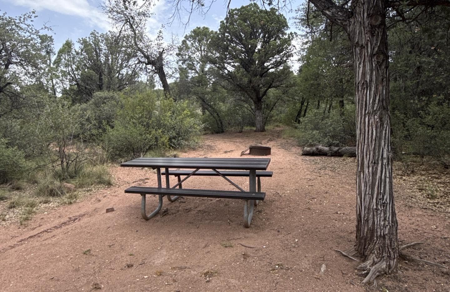 Houston Mesa, Horse Camp site #16 featuring picnic area.