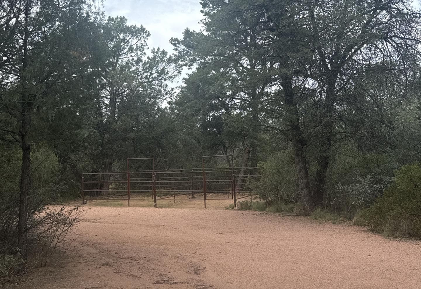 Houston Mesa, Horse Camp site #16 featuring horse corral.