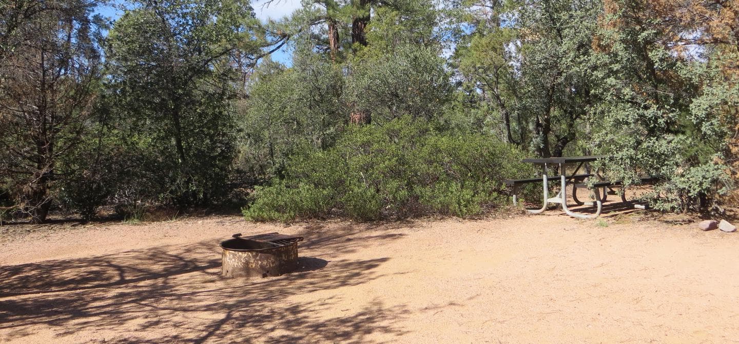 Houston Mesa, Elk Loop site #03 featuring large camping space with picnic table and fire pit.