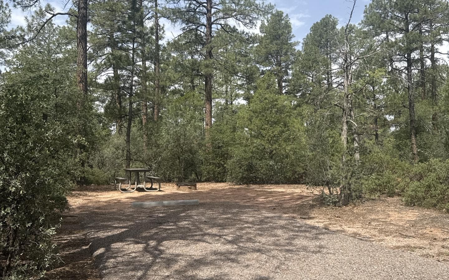 Houston Mesa, Elk Loop site #20 featuring entrance to the wooded site, fire pit, and picnic table.