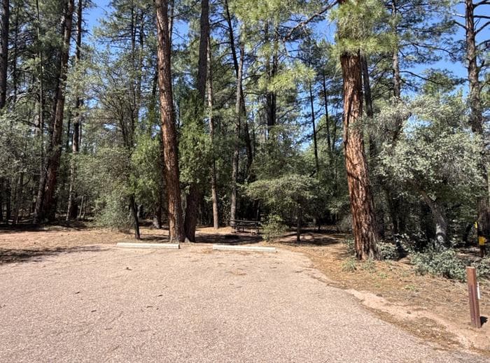 Houston Mesa, Mountain Lion Loop site # 58 wooded site, and picnic table