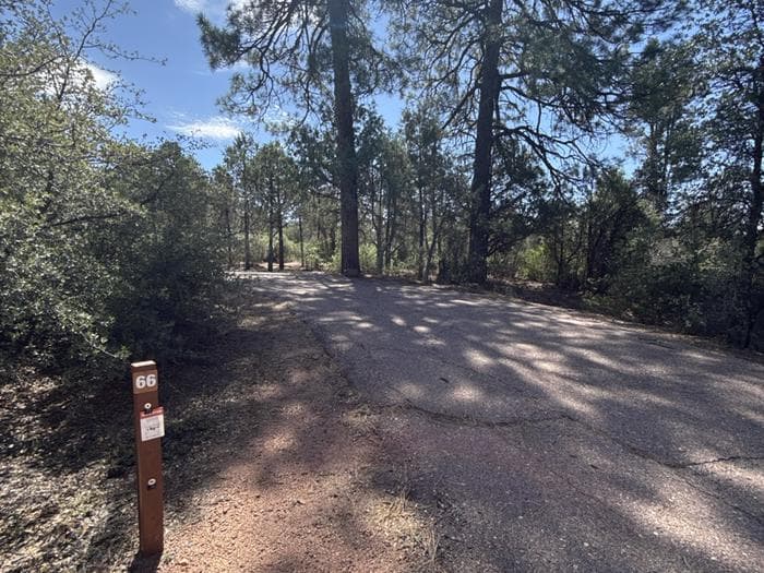 Houston Mesa, Mountain Lion Loop site #66 featuring parking, entrance to the wooded site, and picnic area.