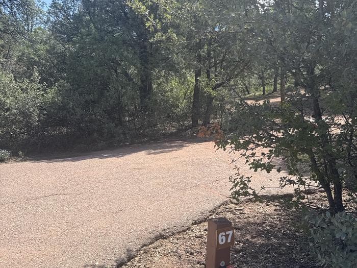 Houston Mesa, Mountain Lion Loop site #67 featuring a picnic table behind a tree.