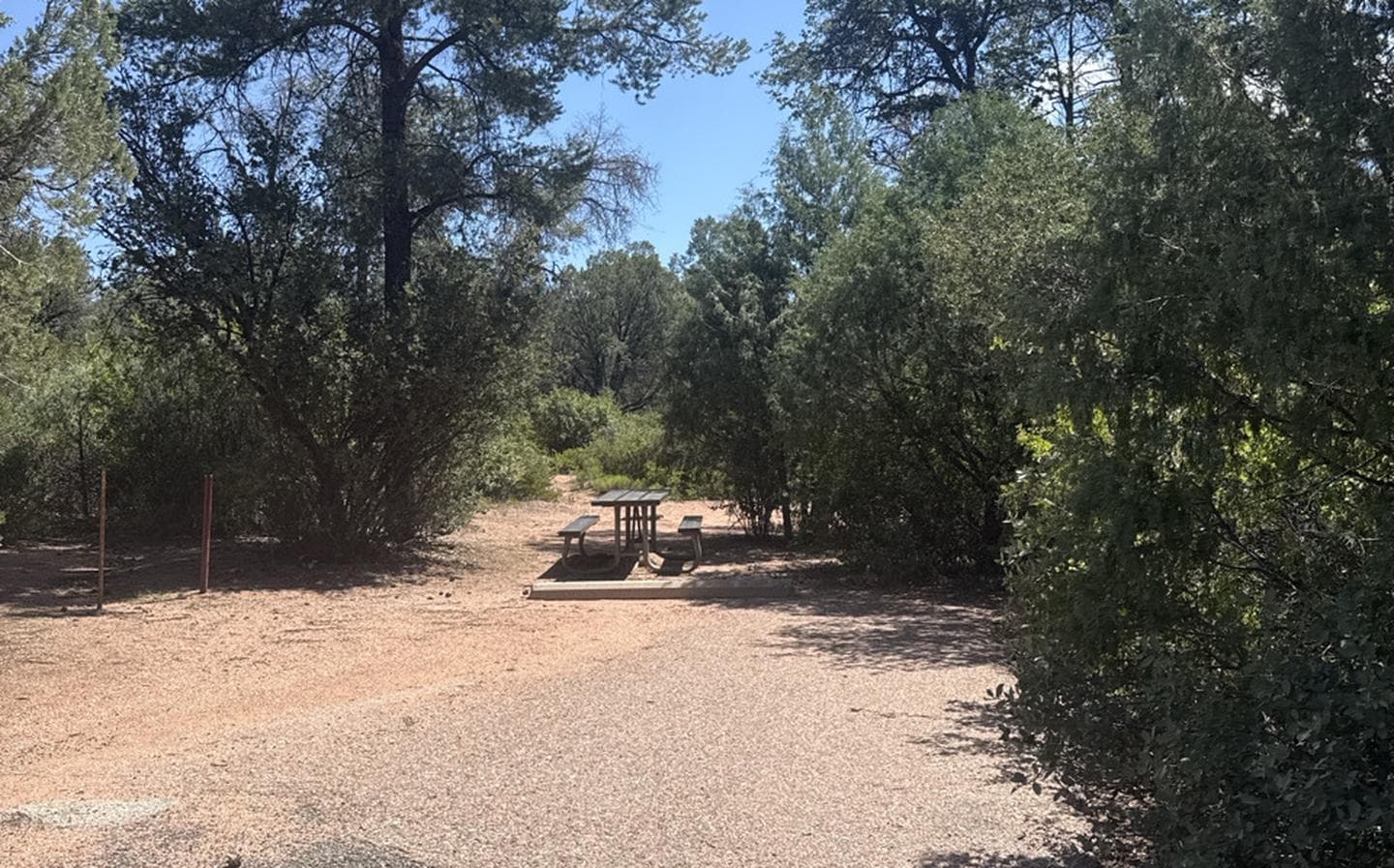 Houston Mesa, Mountain Lion Loop site #68 featuring large camping space with picnic table and fire pit.