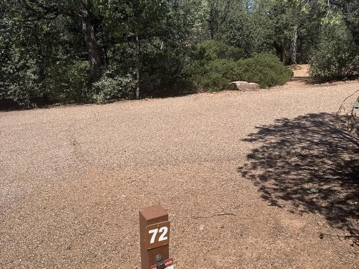 Houston Mesa, Mountain Lion Loop site #72 featuring the wooded camping space, fire pit, and picnic table.