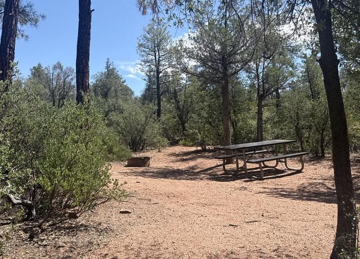 Houston Mesa, Black Bear Loop site #32 featuring large camping space with picnic table and fire pit.