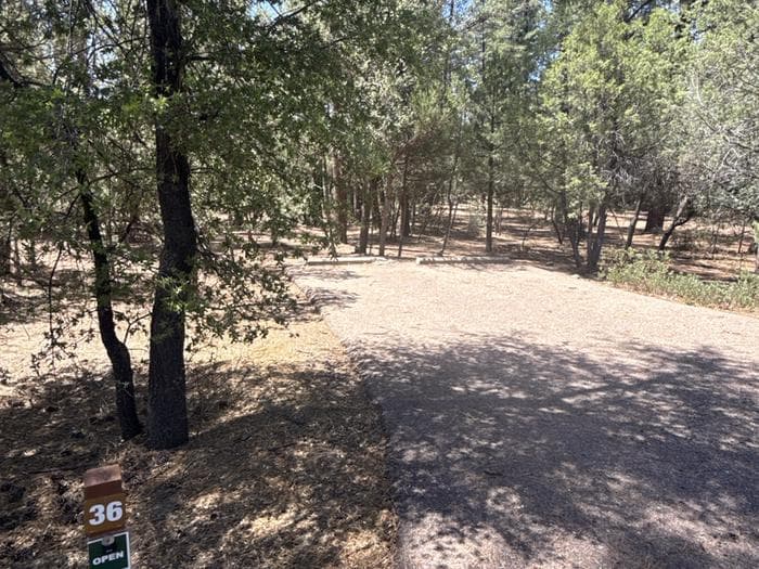 Houston Mesa Campground Site 36