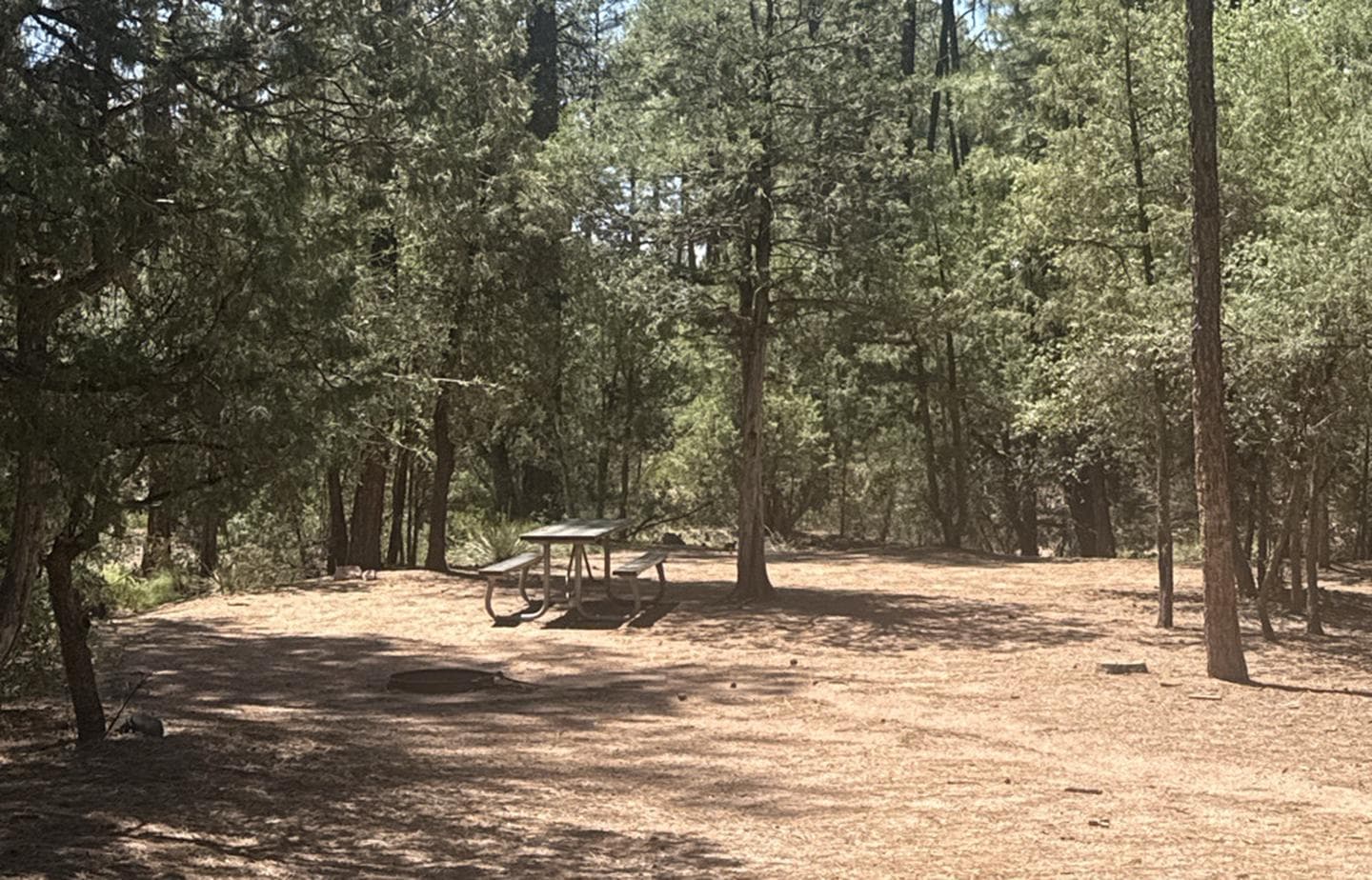 Houston Mesa Campground Site 38