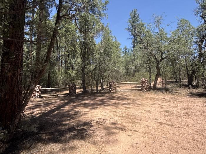 Houston Mesa, Black Bear Loop site #41 featuring large camping space with picnic table and fire pit.