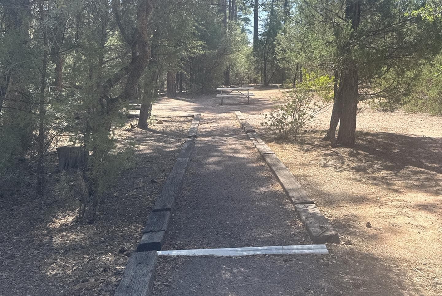 Houston Mesa, Black Bear Loop site #46 path to picnic table