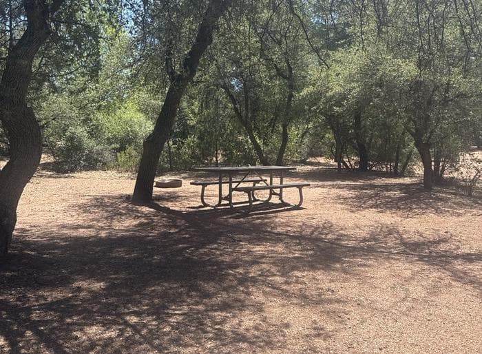 Houston Mesa, Black Bear Loop site #47 Table in the shade of nearby trees